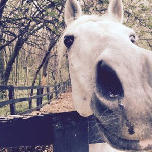 Meet your Posher, Lidka